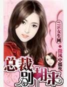 总裁,别胡来