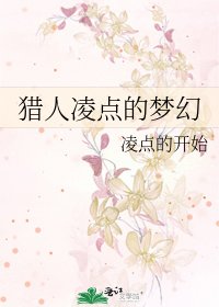 猎人凌点的梦幻