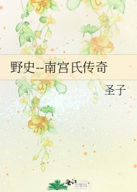 野史--南宫氏传奇