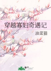 穿越寡妇奇遇记