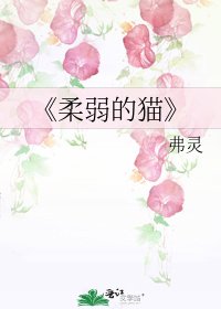 柔弱的猫