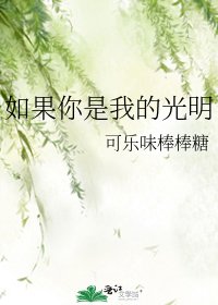 《如果你是我的光明》